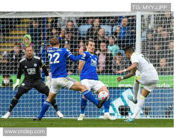 卡斯鲁厄与奥厄的精彩对决分析与赛季展望