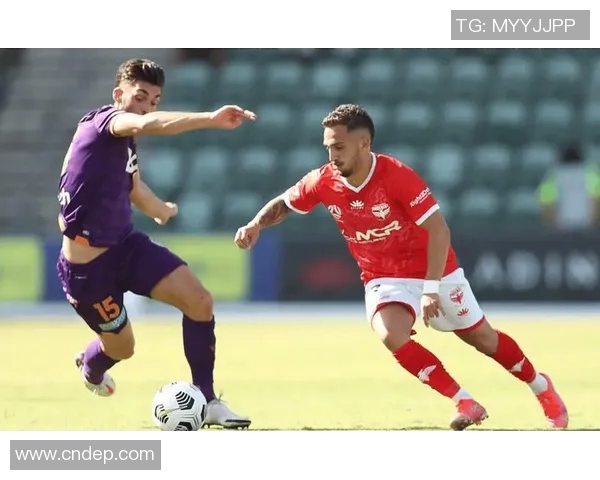 墨尔本胜利迎战惠灵顿凤凰决战澳超赛场谁能笑到最后