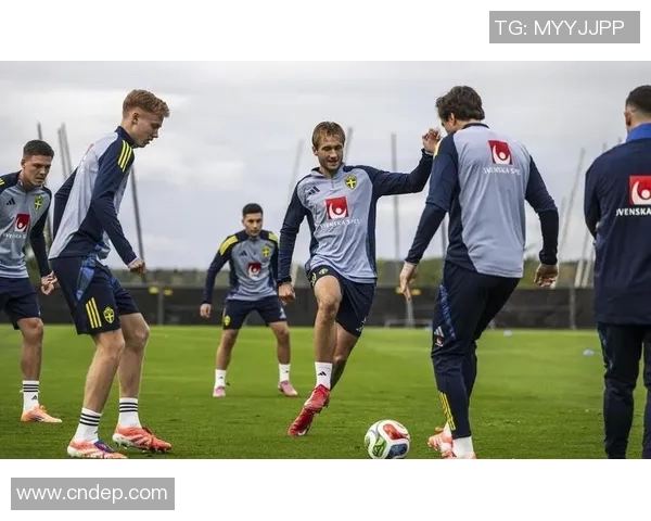 瑞典与韩国精彩对决回顾全场比赛亮点与精彩瞬间合集