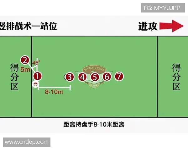 上海飞盘队战术争议引发热议球迷与专家各抒己见