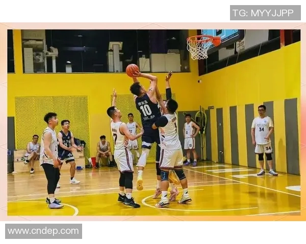 深圳篮球队在邀请赛中的力量表现分析与未来展望